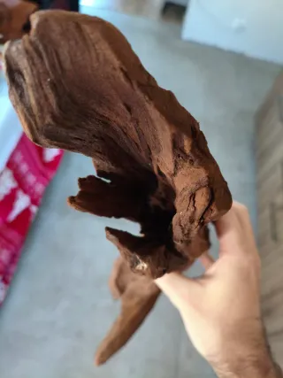 Madera para acuario con orificio en la punta