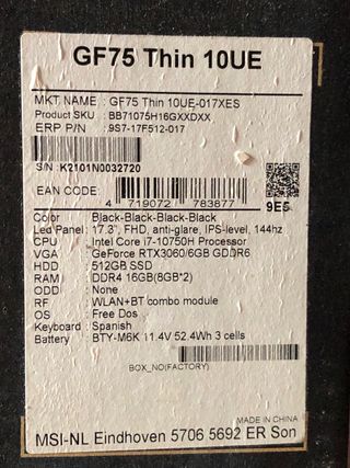 Portátil MSI 17.3 RTX 3060