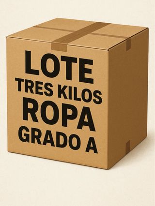 Lote 3kg Ropa Grado A PABLO