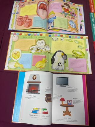 Lote 12 libros grandes infantiles +3