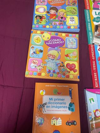 Lote 12 libros grandes infantiles +3