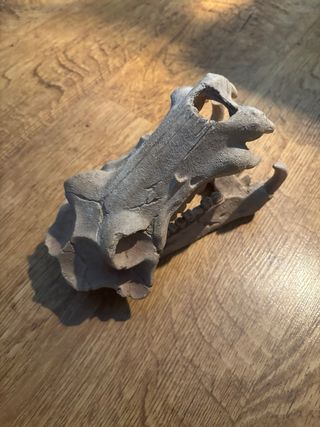 Cabeza Saurio Resina Terrario Acuario o Atrezzo