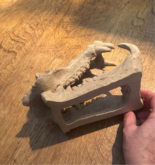 Cabeza Saurio Resina Terrario Acuario o Atrezzo