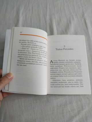 Libro en euskera Udako zooa, de Isabel Cordova