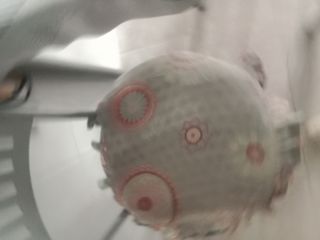 Juego de 4 sillas de cocina azul/gris