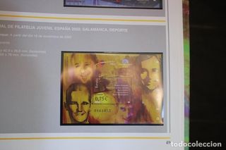 Libro con los Sellos de España y Andorra 2002.