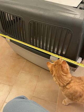 Transportín perro viaje gris y blanco