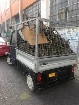 Tala de fincas de naranjos