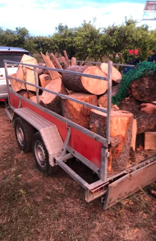 Tala de fincas de naranjos