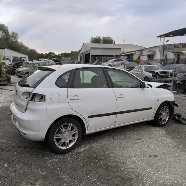 Despiece Seat Ibiza 6L 1.4 TDI