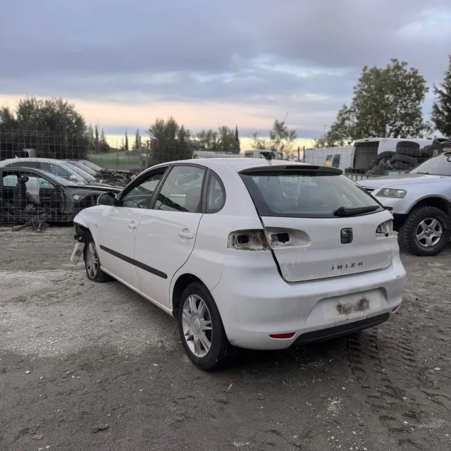 Despiece Seat Ibiza 6L 1.4 TDI