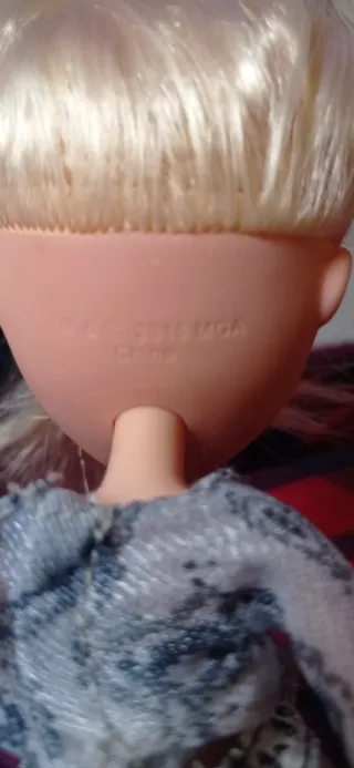 Lote Muñecas Girlz y Bratz