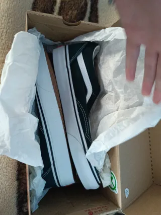 SUPER OFERTA Vans Green Dark theory scrab