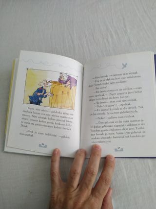 Libro en euskera Kikik Koko nahi du