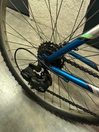 Bicicleta Urbana Montaña Cups