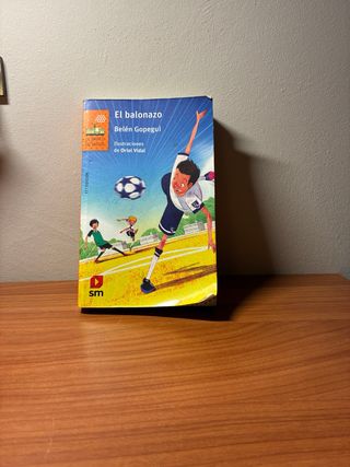 Libro El balonazo de Belén Gopegui