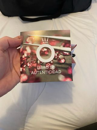 Pulsera Pandora Plata Ley + Charm