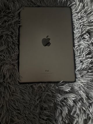 Apple iPad Negro