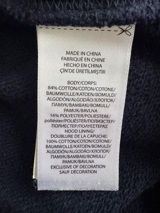 Sudadera Polo Ralph Lauren Oso Azul