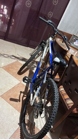 Bicicleta Azul y Blanca