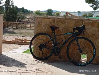 Bicicleta Carretera Carbono Talla XS (48)