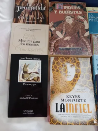 La prometida / The Betrothed (Betrothed, The) (...