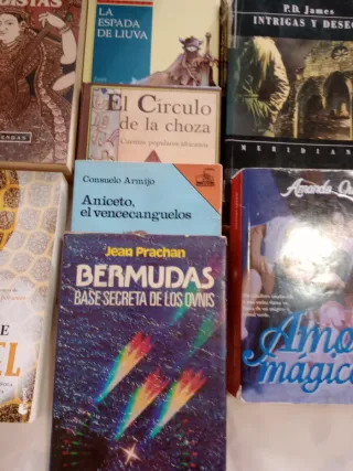 La prometida / The Betrothed (Betrothed, The) (...