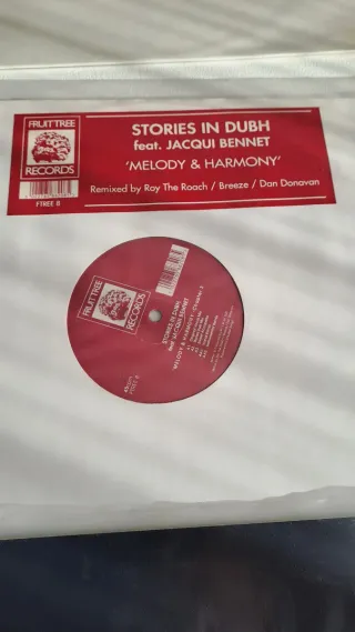 Lotto di 9 Vinili Deep/ Garage House