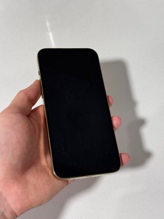 iPhone 13 Pro Max 256GB Dorado