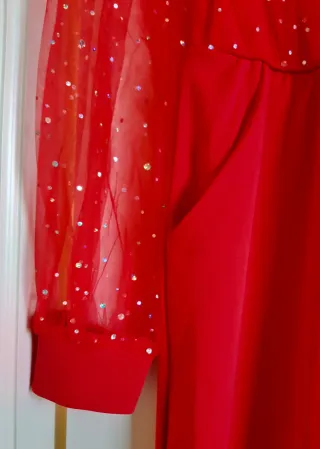 Mono fiesta lentejuelas manga tul