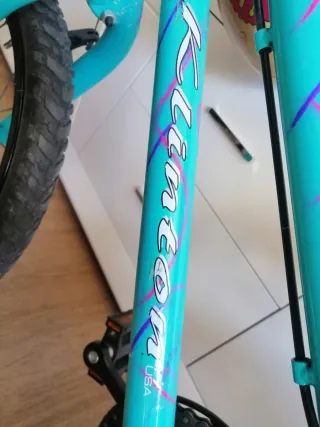 Bicicleta niña 3-5 años verde y rosa con transport