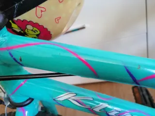 Bicicleta niña 3-5 años verde y rosa con transport