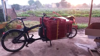 Triobike Cargobike Caja Aluminio