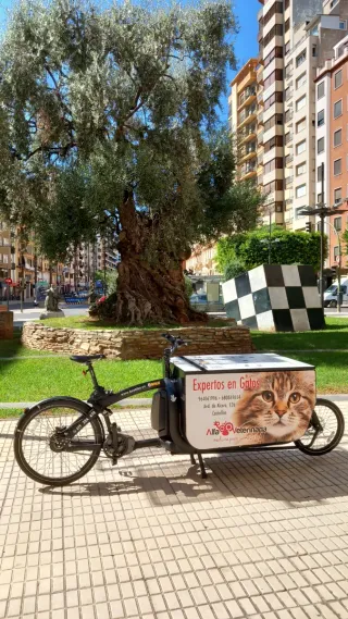 Triobike Cargobike Caja Aluminio