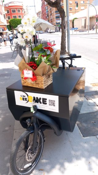 Triobike Cargobike Aluminio. Bicicleta Eléctrica
