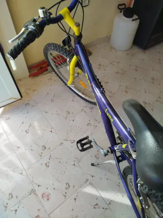 Bicicleta Lynx Morada