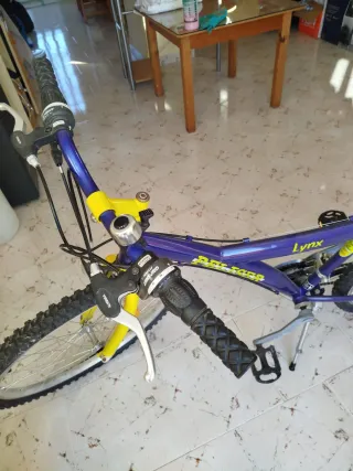 Bicicleta Lynx Morada