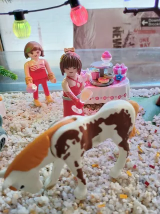 Diorama Playmobil Fiesta Barbacoa