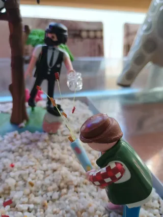 Diorama Playmobil Fiesta Barbacoa