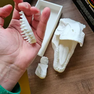 Rincón Libros Jurassic Park T-Rex