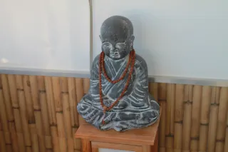 Objetivo Canon EFS 18-55mm f/3.5-5.6 II