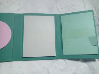 Lote de americana y posits.