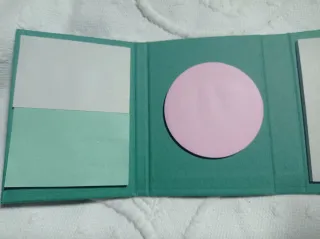 Lote de americana y posits.