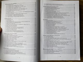 INTRODUCCION A LA PROGRAMACION ESTRUCTURADA Y O...