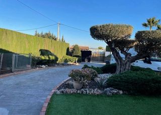 Jardinero Profesional