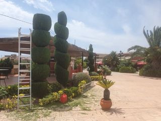 Jardinero Profesional