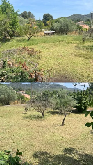 Desbroce de parcelas y limpieza de terrenos