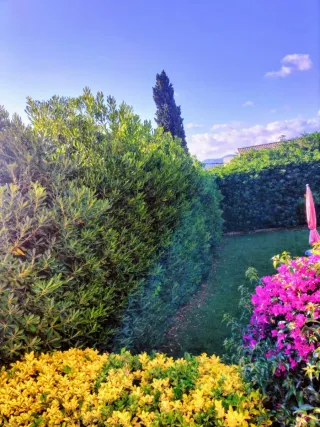 Servicio de mantenimiento de jardines