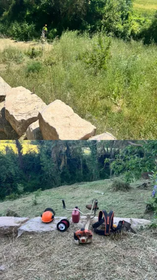 Limpieza de parcelas y terrenos