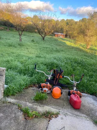 Limpieza de terrenos